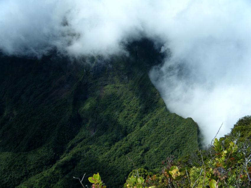 Le toit de Tahiti