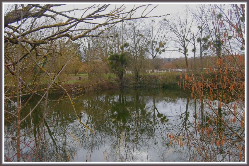 Reflets d'hiver  l'Isle-Adam (95)