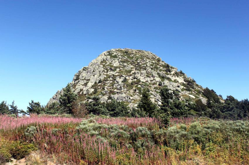 Mont Gerbier de Jonc