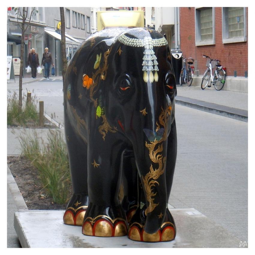 Un lphant dans la ville