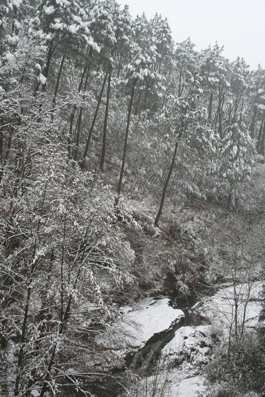 aprs la tombe cde la neige.....Le ruisseau...