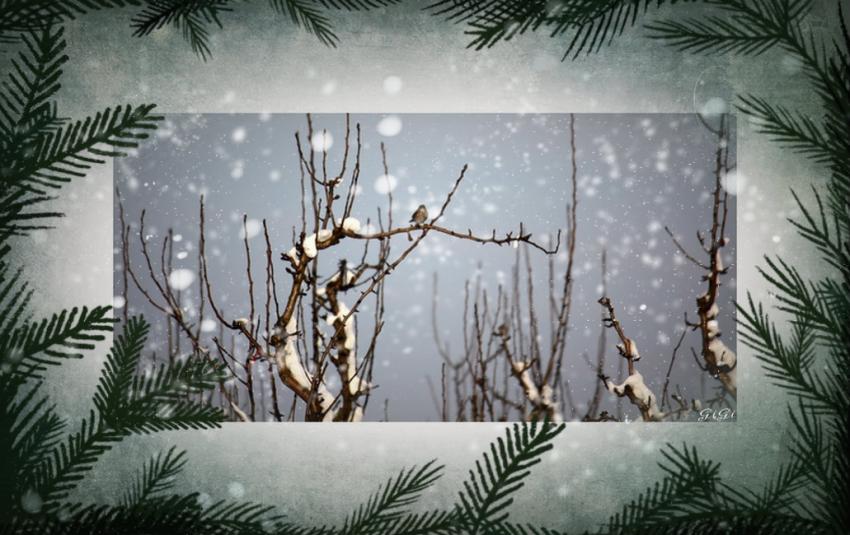 L'hiver