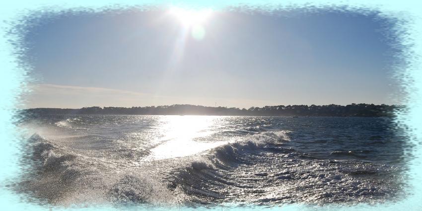 Bassin d'Arcachon 