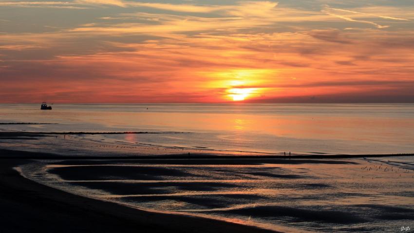 Cte belge