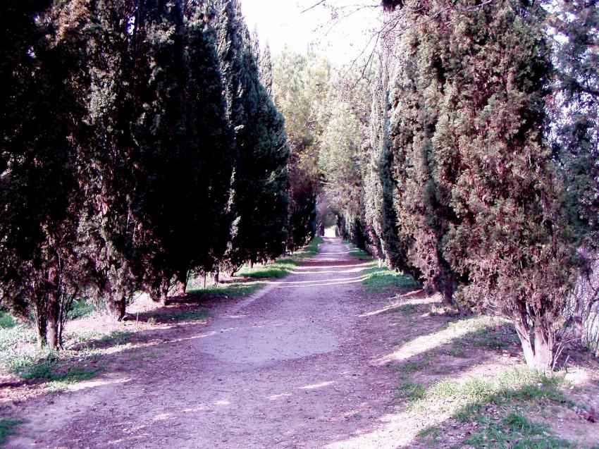 chemin montpellier