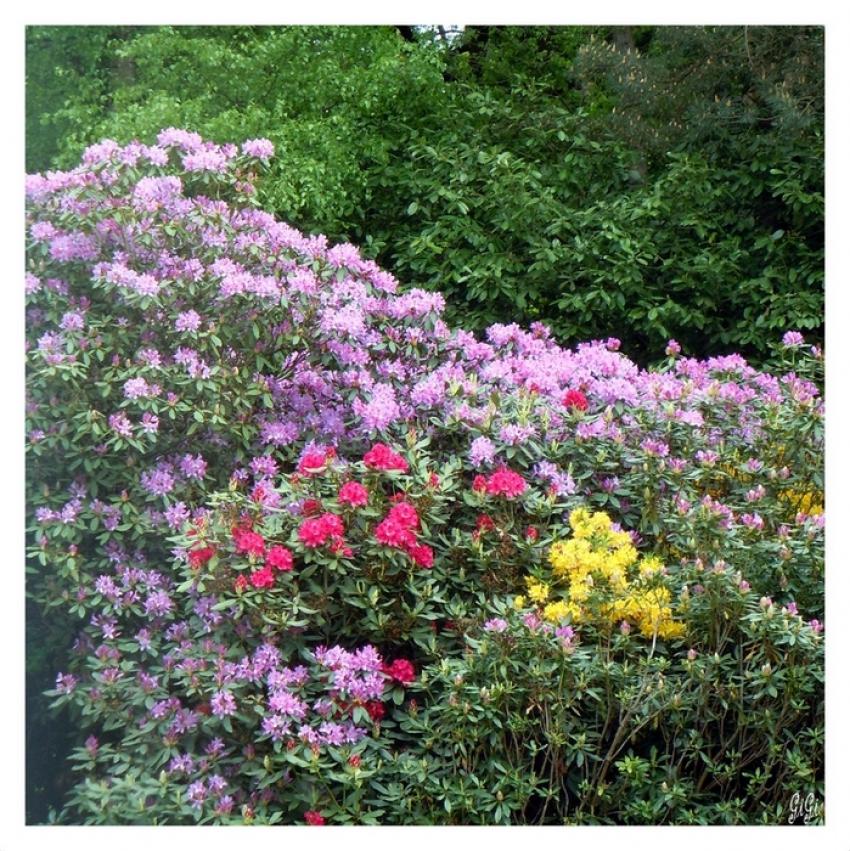 Couleurs.