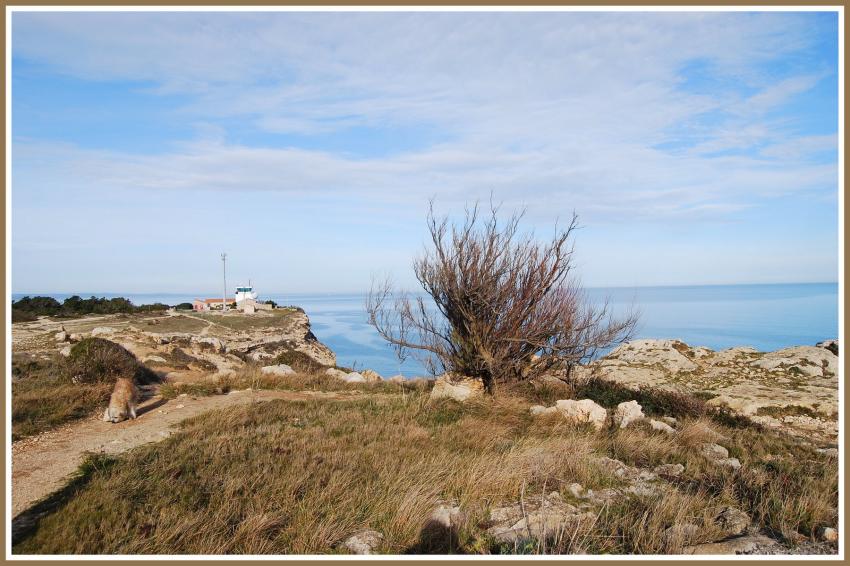 La falaise de Leucate (11)