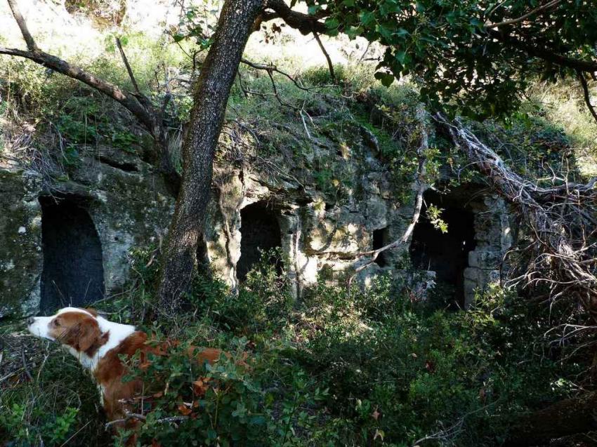 Habitations troglodytiques 