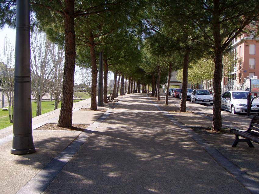chemin montpellier