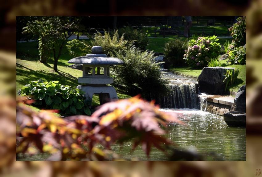 Jardin japonais
