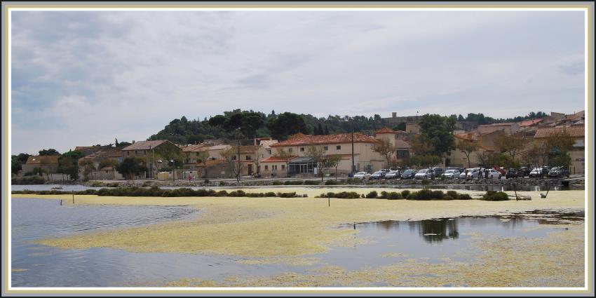 Peyriac de mer (11)