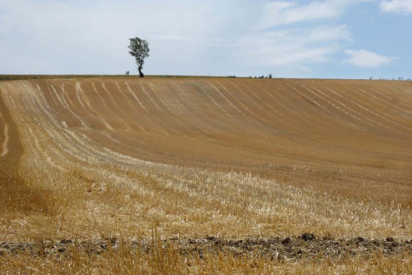 Le Lauragais