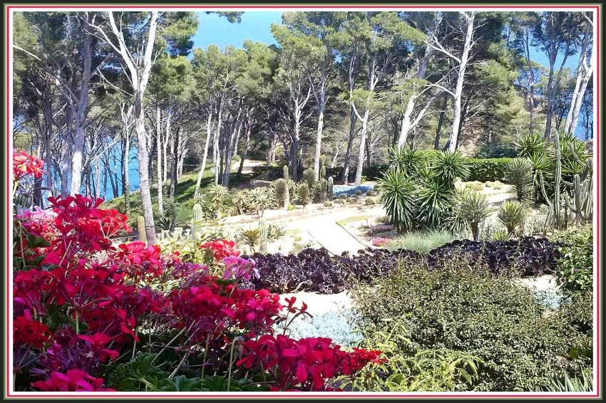 Jardin botanique Palafrugell (Espagne)