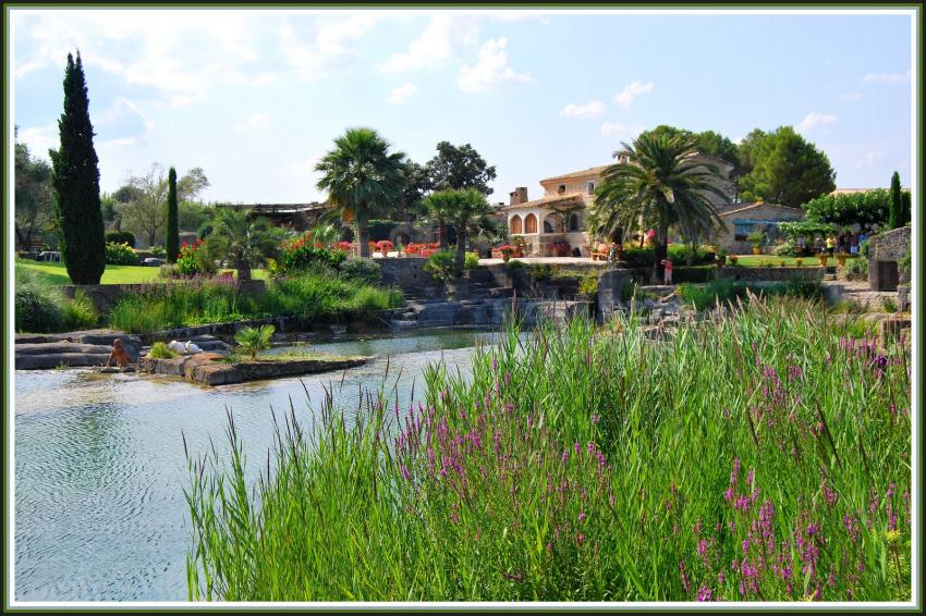 Jardin de saint-Adrien - Servian (34)