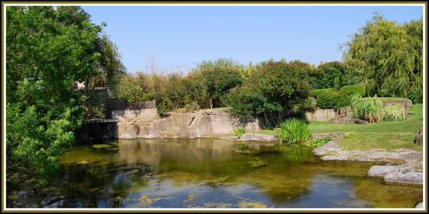 Jardin de saint-Adrien - Servian (34)