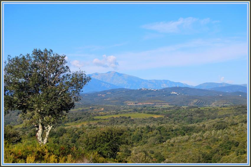 Le Canigou (66)