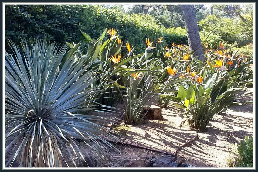 Jardin botanique Palafrugell (Espagne)