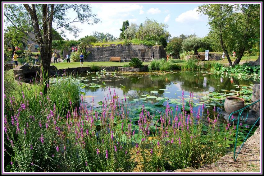 Jardin de saint-Adrien - Servian (34)