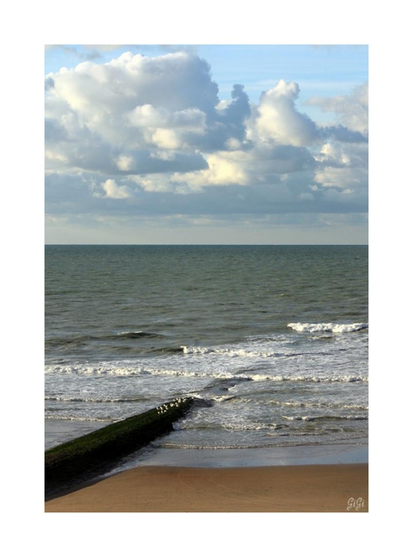 Paysages de mer (1)