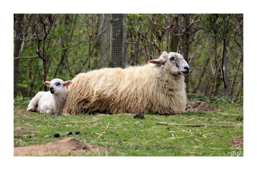 En famille.