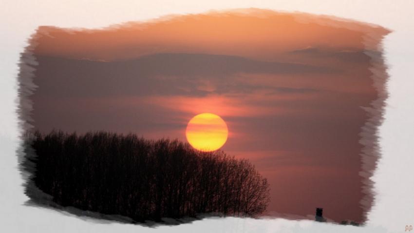 Un petit coin de ciel...