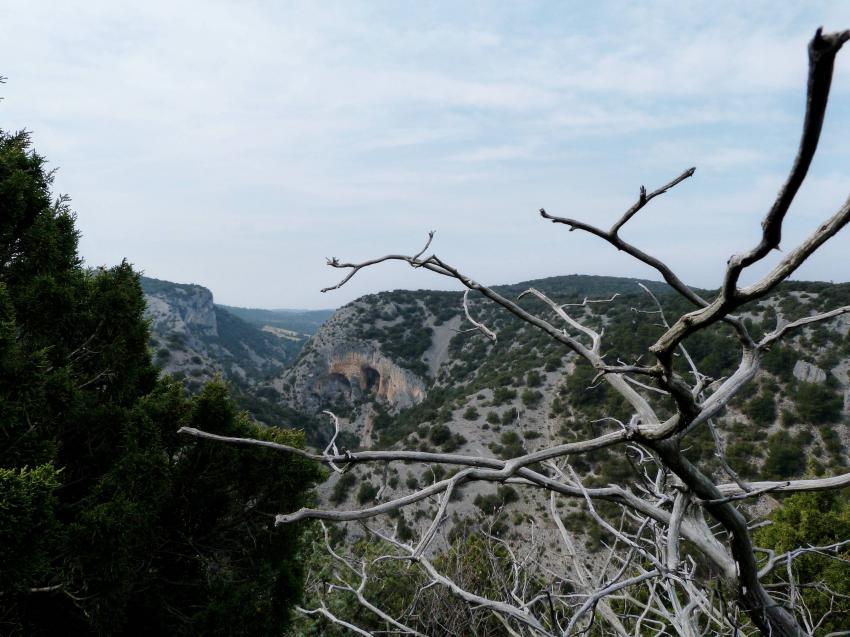 Le Toulourenc depuis les collines du village de Ve