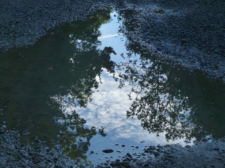 Reflets sur une flaque d'eau