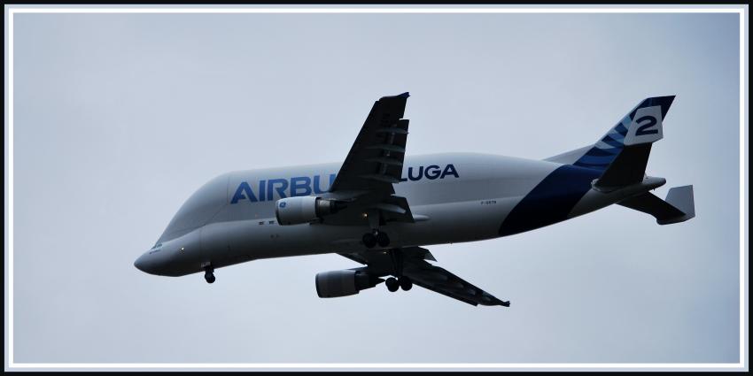 Airbus - Beluga