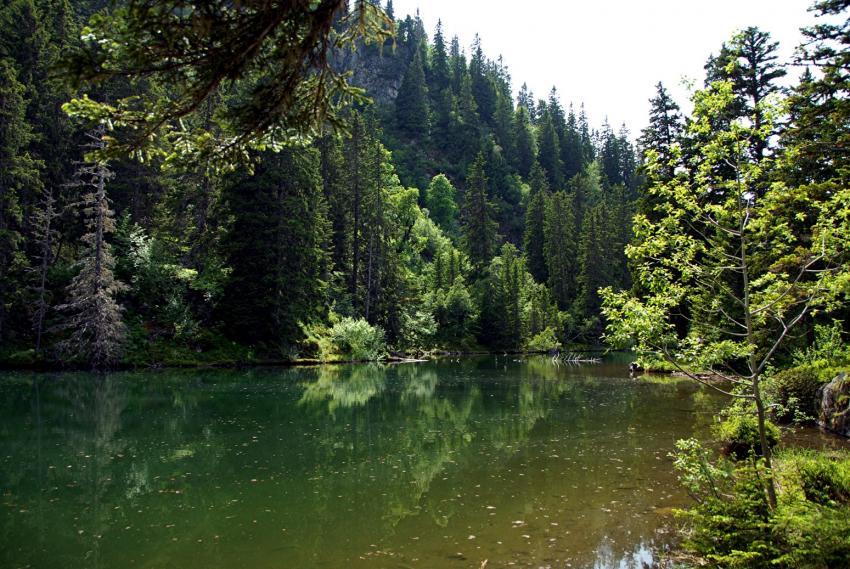 LAC CLARET   ALPE DU GRAND SERRE  ISERE