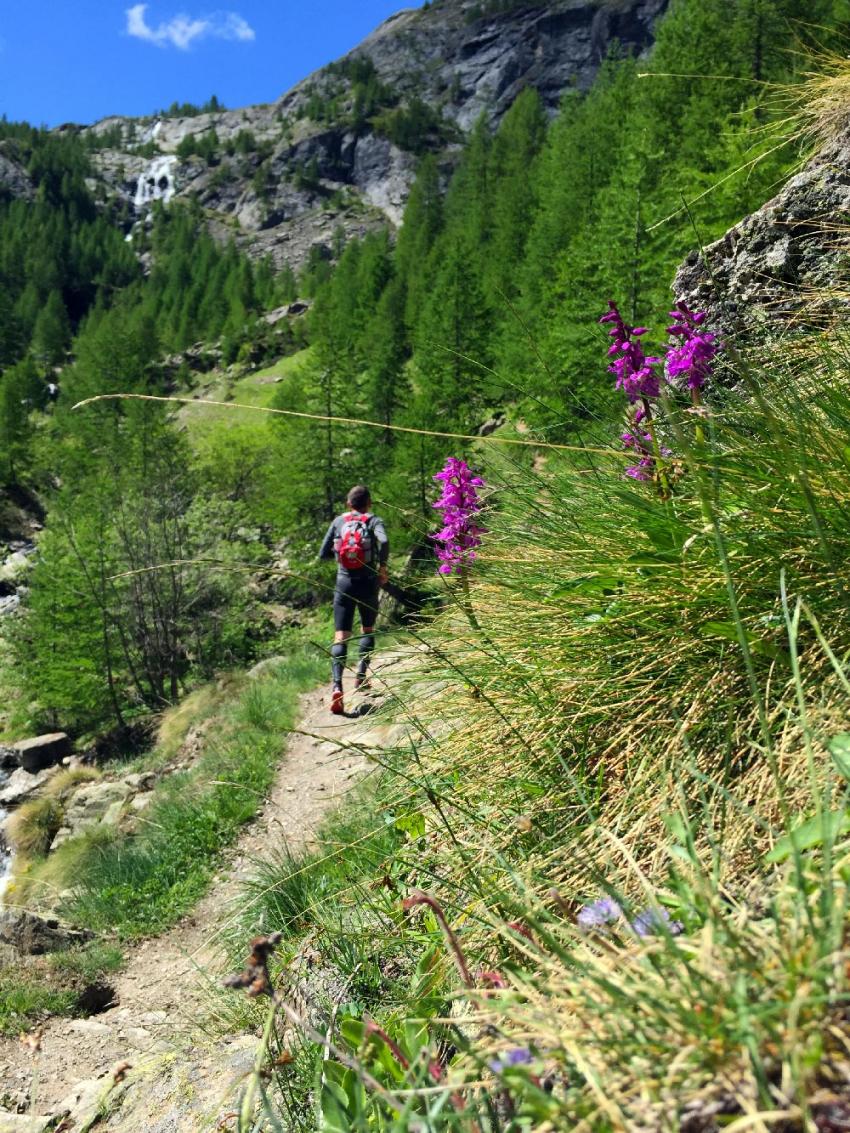 Trail dans les Ecrins