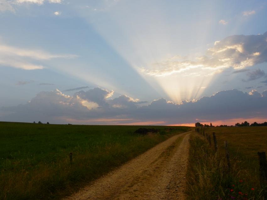 Le chemin du soleil.