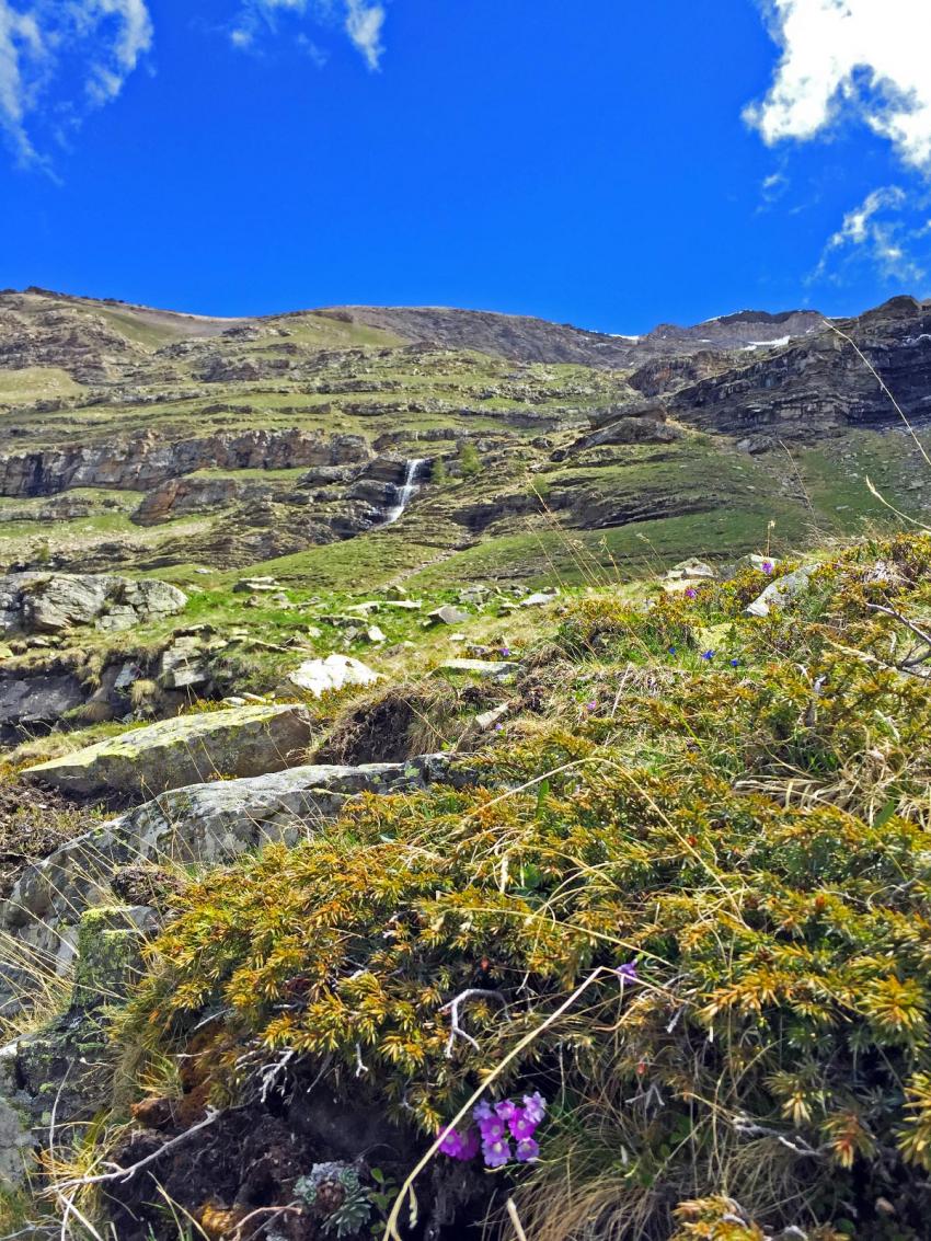 Dormillouse Haute Valle de Freissinires Parc Nat