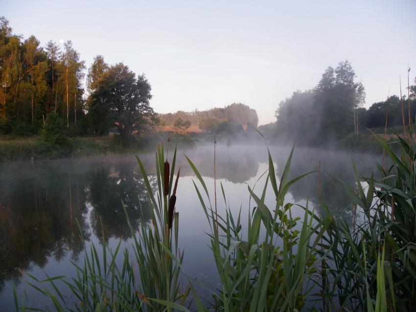 Brume matinale.