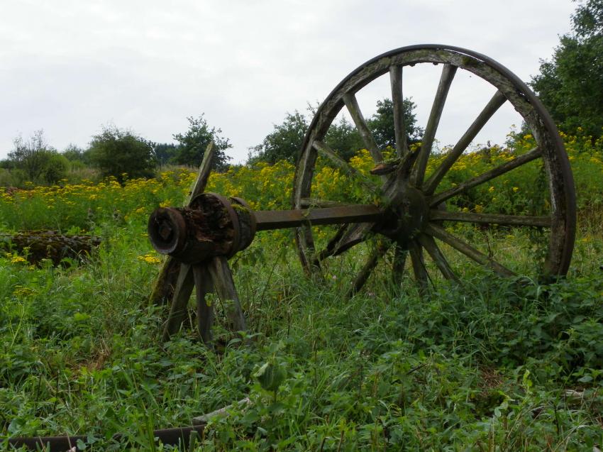 Roue.