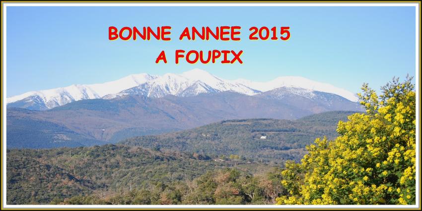 BONNE ANNEE 2015