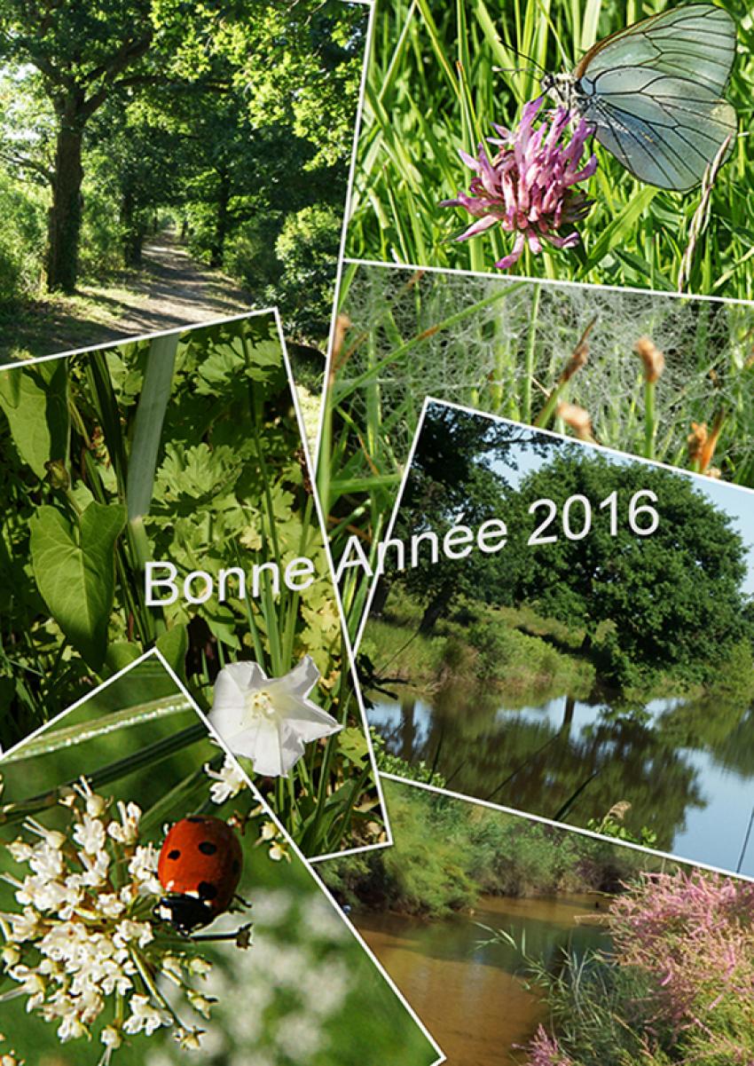 BONNE ANNEE 2016