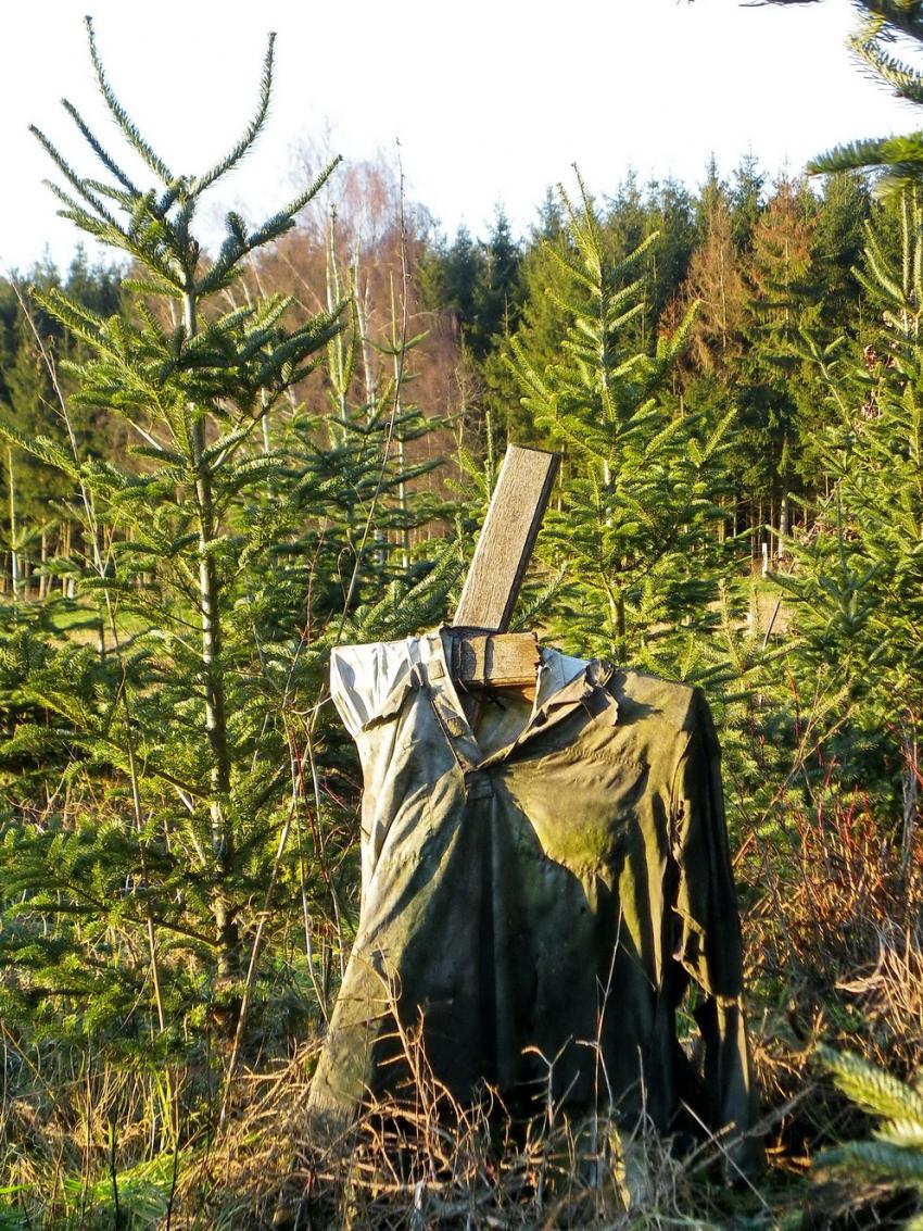 A qui dois je faire peur ici au milieu des sapins?