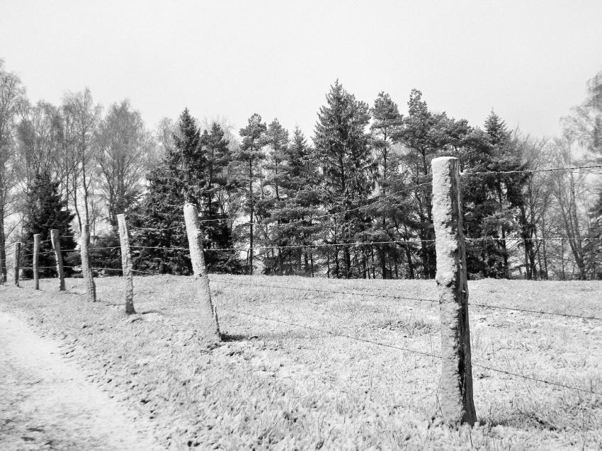 Neige en noir et blans