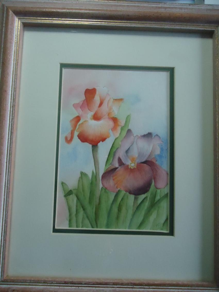 Aquarelle iris