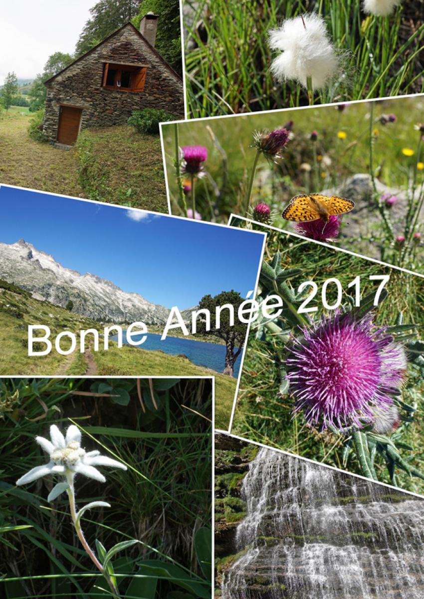 MEILLEURS VOEUX