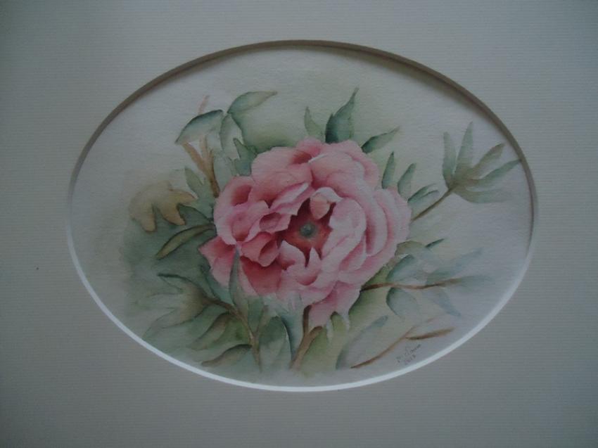 AQUARELLE PIVOINE