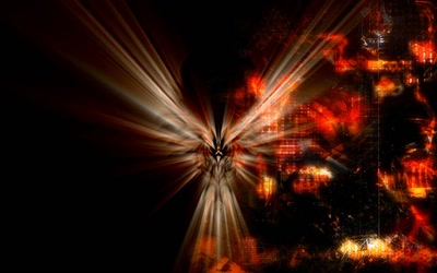 Résultat de recherche: Phoenix