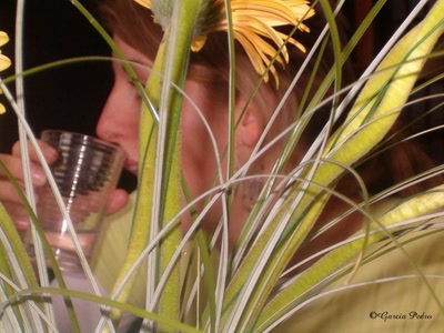 Œuvre de popopeint: Eau et plante