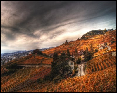 Résultat de recherche: Les Vendanges