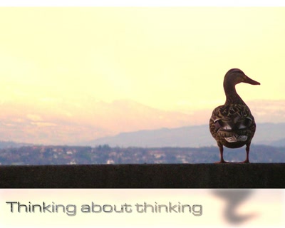 Résultat de recherche: Thinking about Thinking!