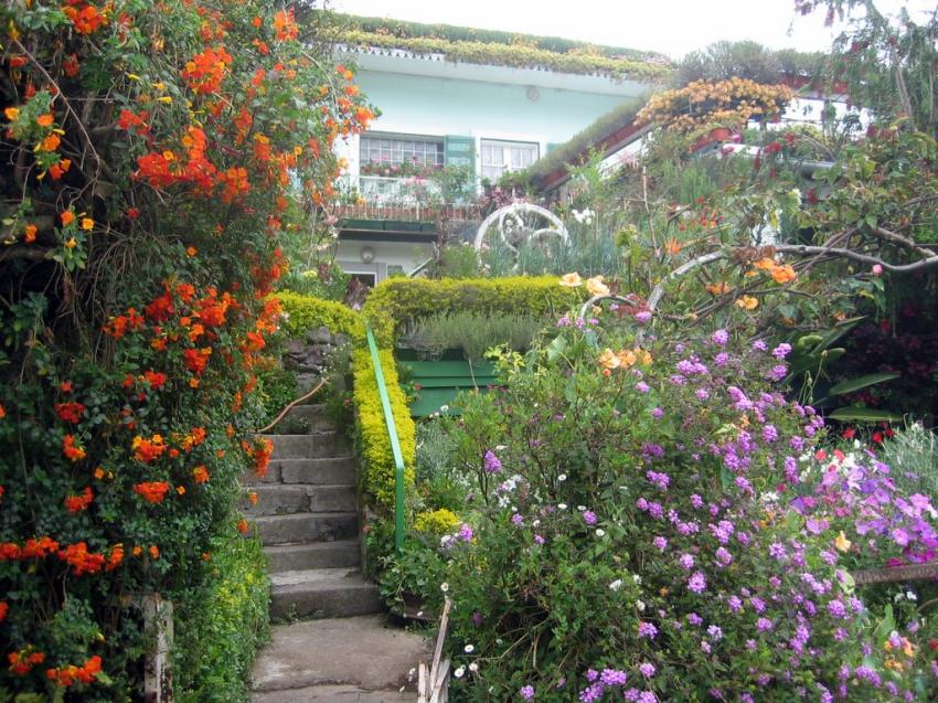 Case fleurie à Cilaos