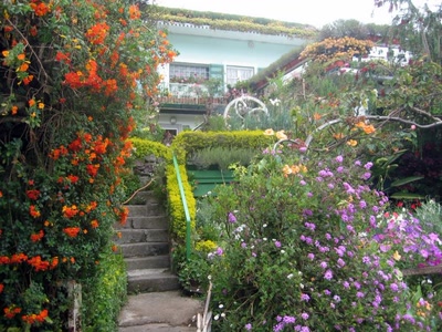 Œuvre de corsu33: Case fleurie à Cilaos