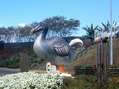 Œuvre de corsu33: Le Dodo