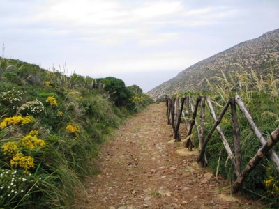 Résultat de recherche: 3in ray7an