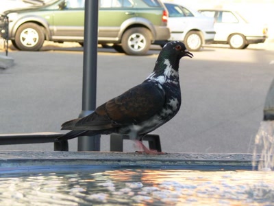 Résultat de recherche: Bunt